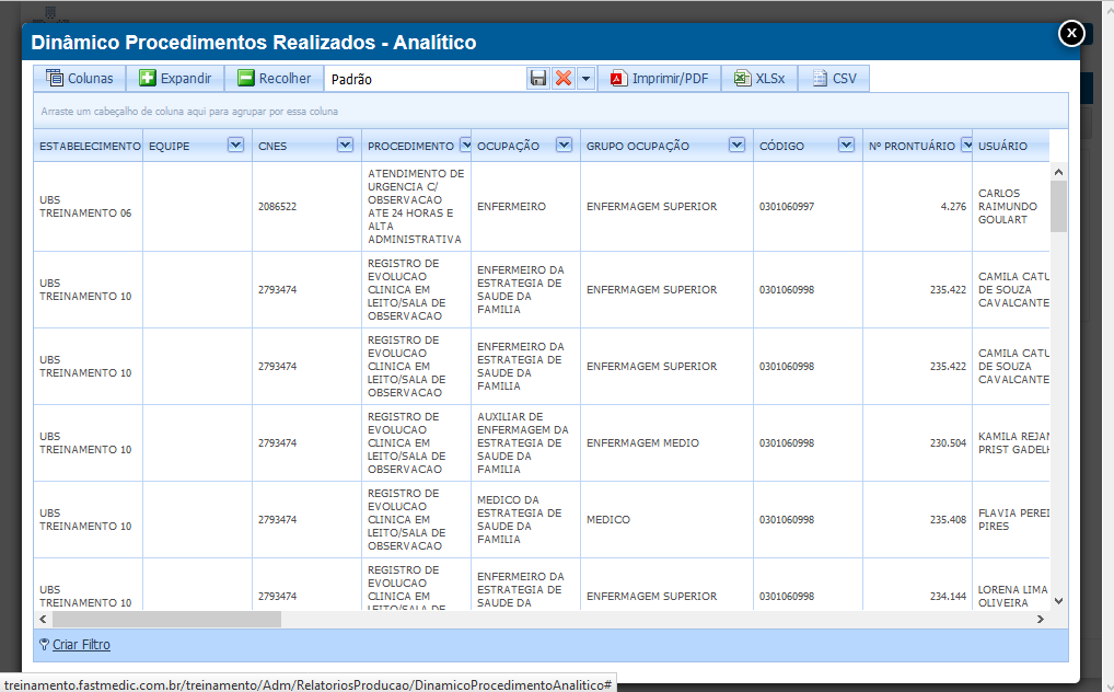 Imagem Demonstrativa do Dinâmico de Procedimentos Realizados Analítico